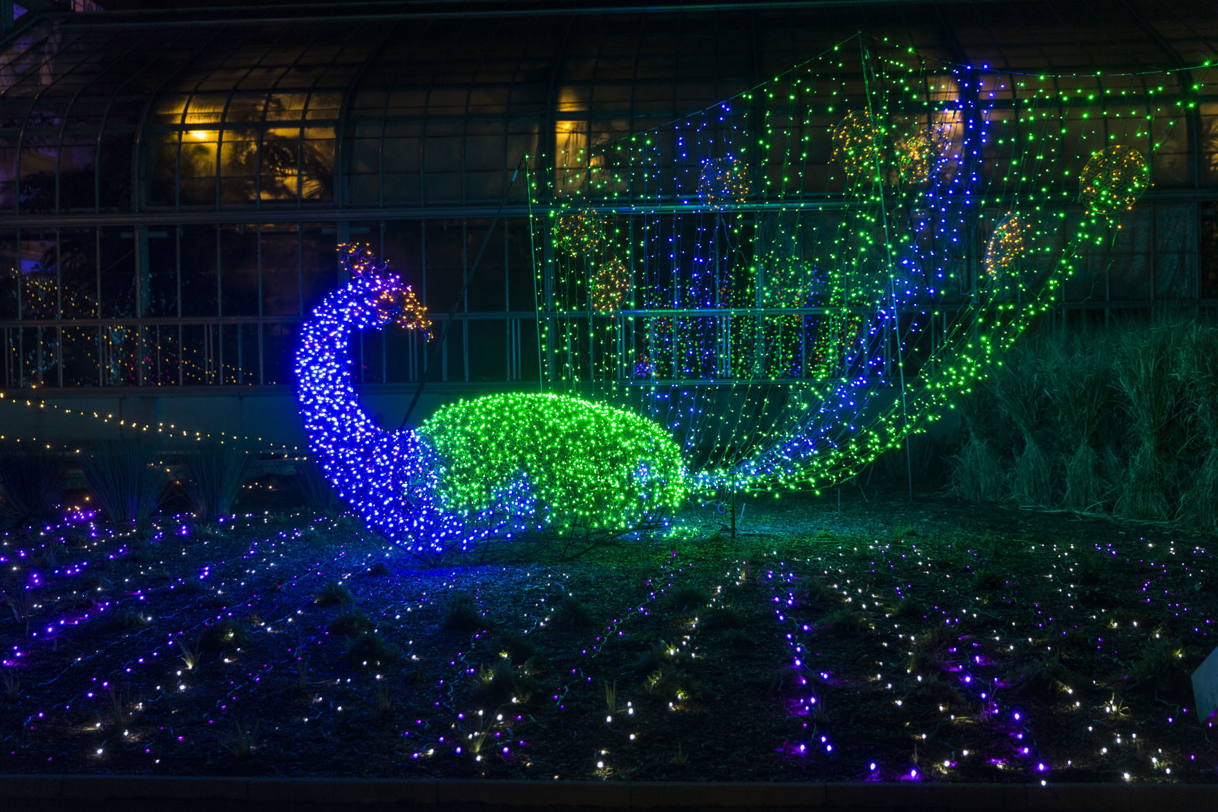 GardenFest of Lights